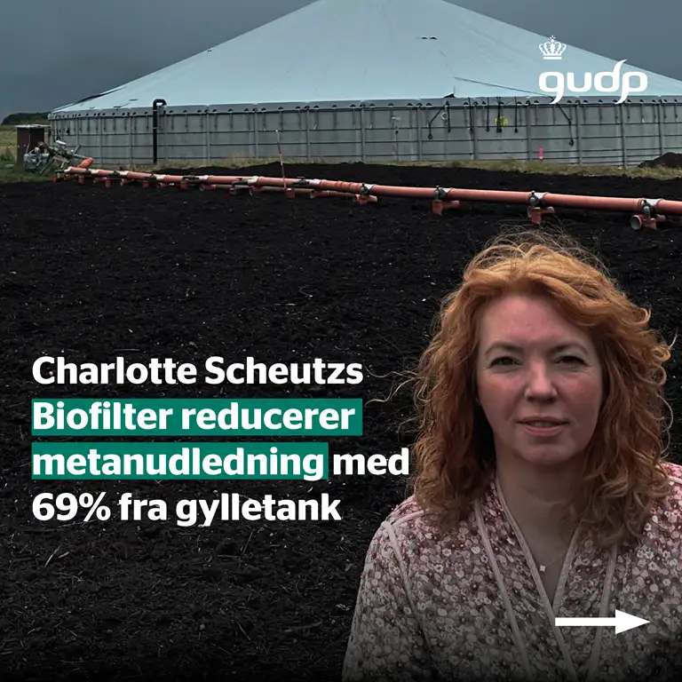 Charlotte Scheutzs Biofilter reducerer  metanudledning med  69% fra gylletank 